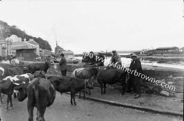 FAIR:ON THE HARBOUR WALL